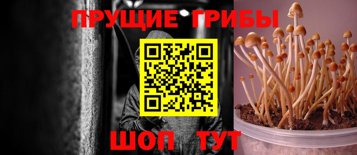 Галлюциногенные грибы прущие грибы  Вход с VPN  Псилоцибиновые грибы Psilocybe  Еманжелинск 